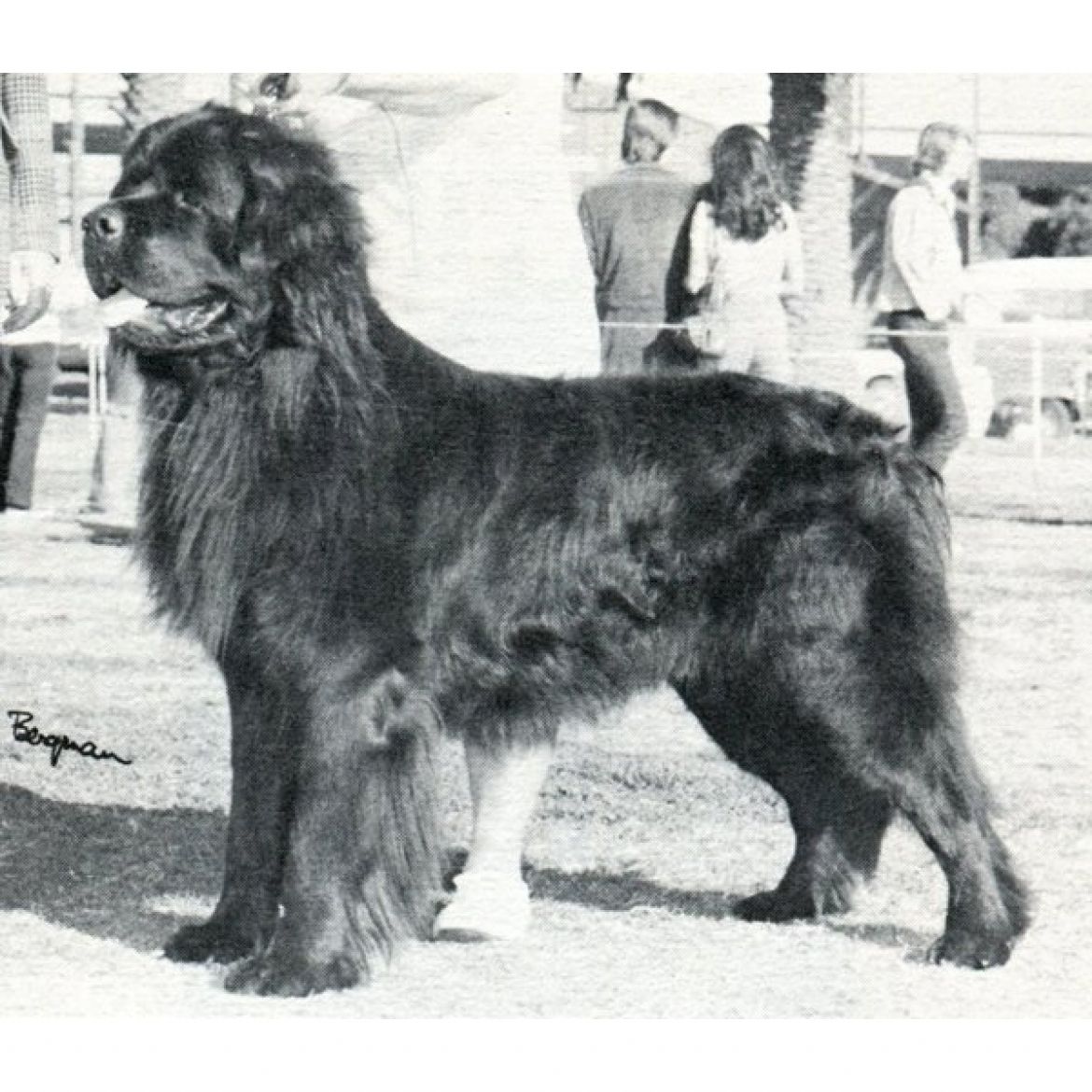 R Anrevs Lord Byrons Boatswain (21-03-1973)